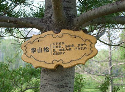 這種導視材料不會變老，只會更美好！