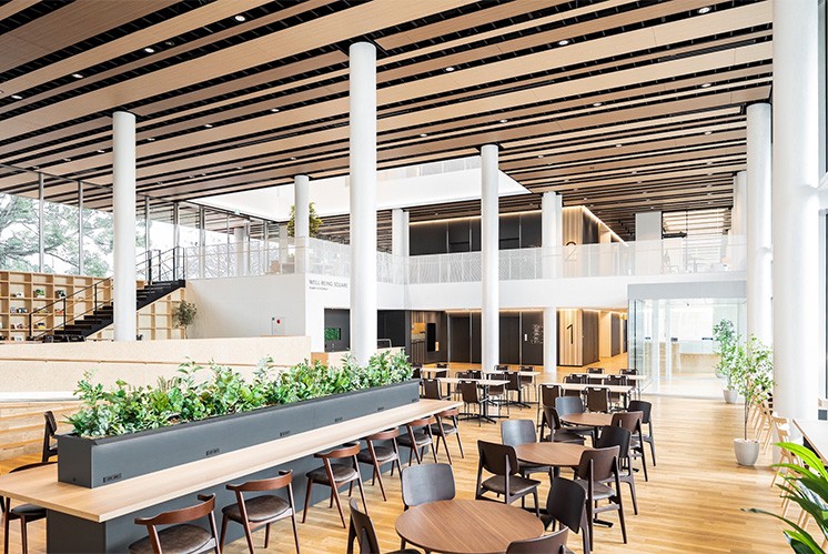 “從透明到流動：Shunan公立大學(xué)新大樓的導(dǎo)視藝術(shù)